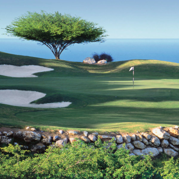 Envy Golf takes you to private courses and inside the ropes of tournaments with our tailor made golf packages.
